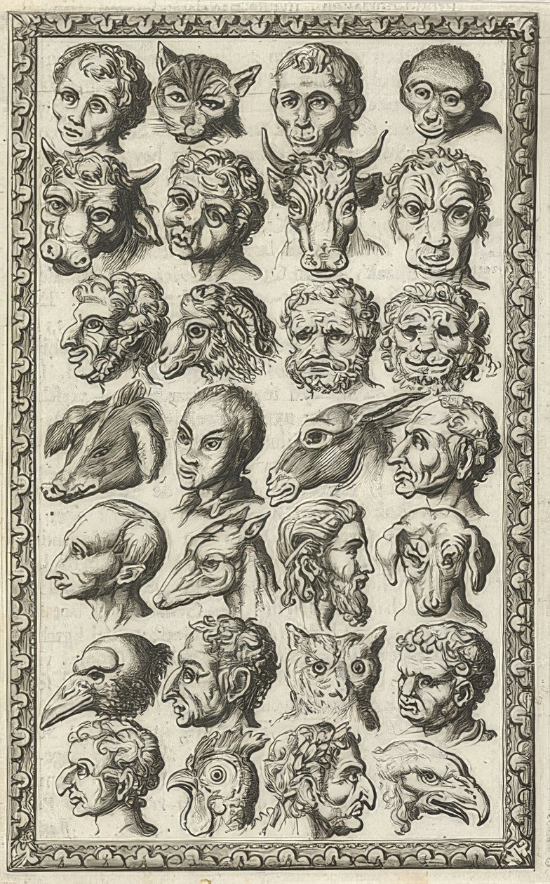 28 têtes d