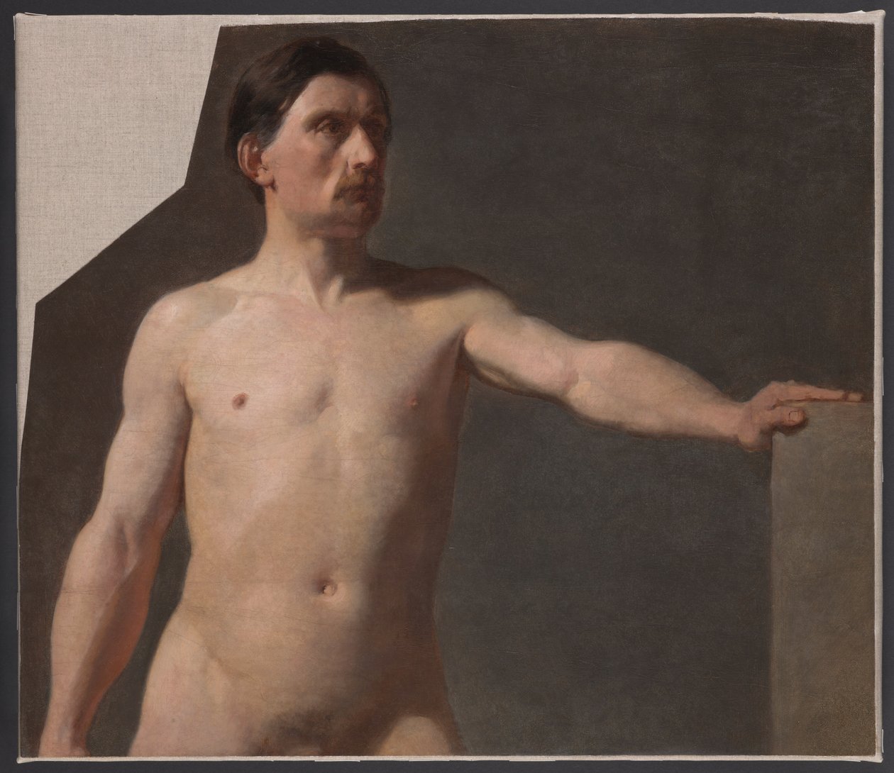 Nu masculin - Torse d