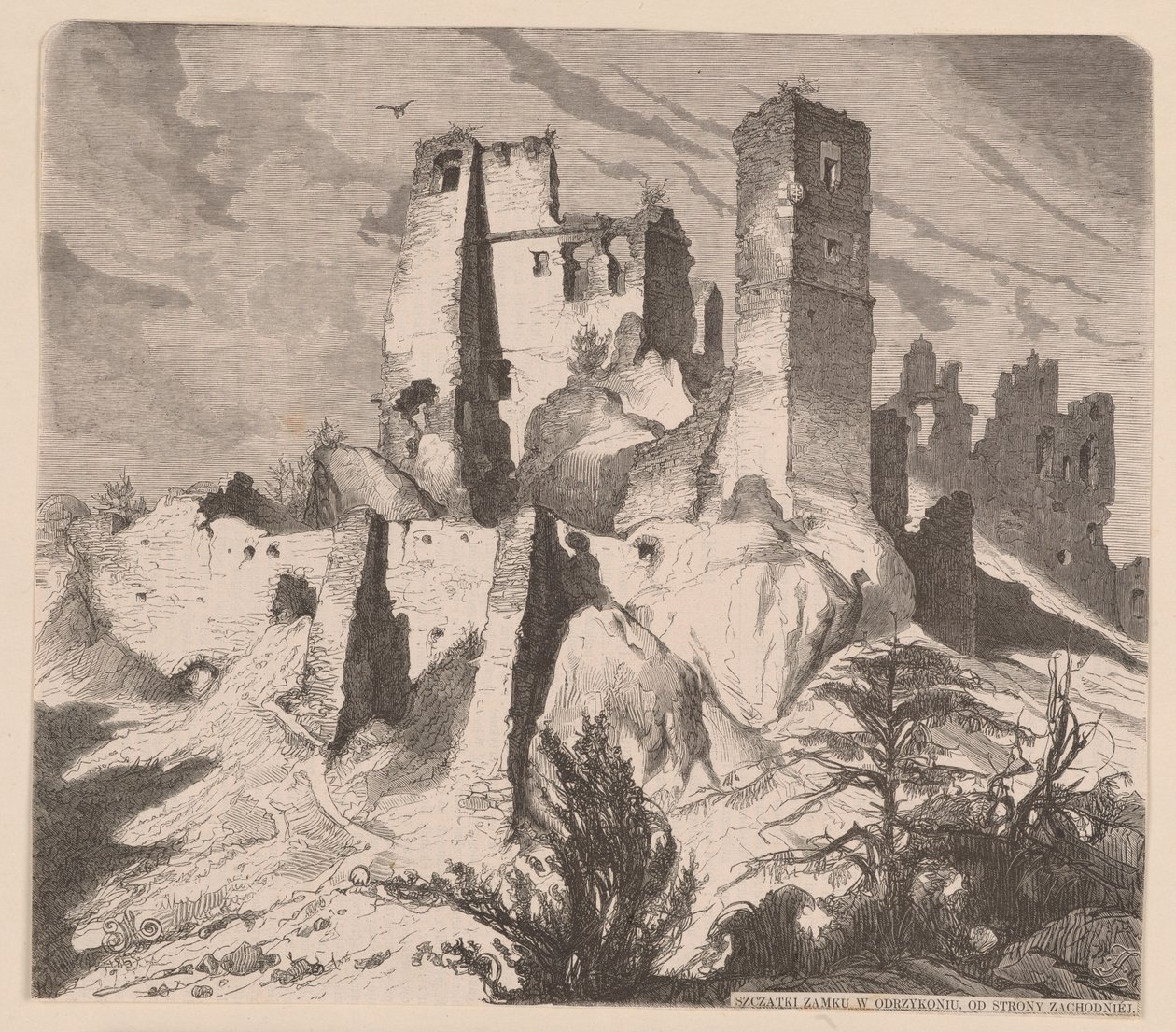 Ruines du château d