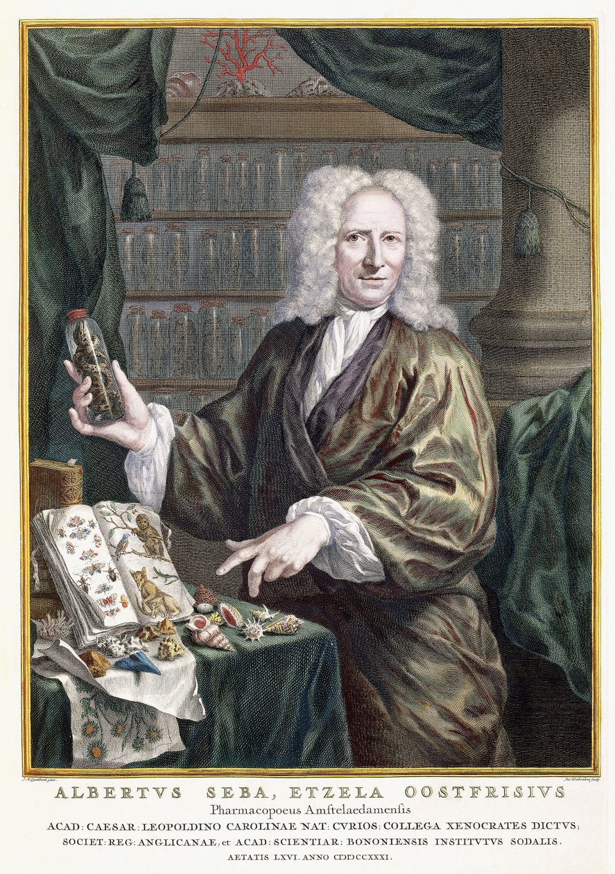 Portrait d