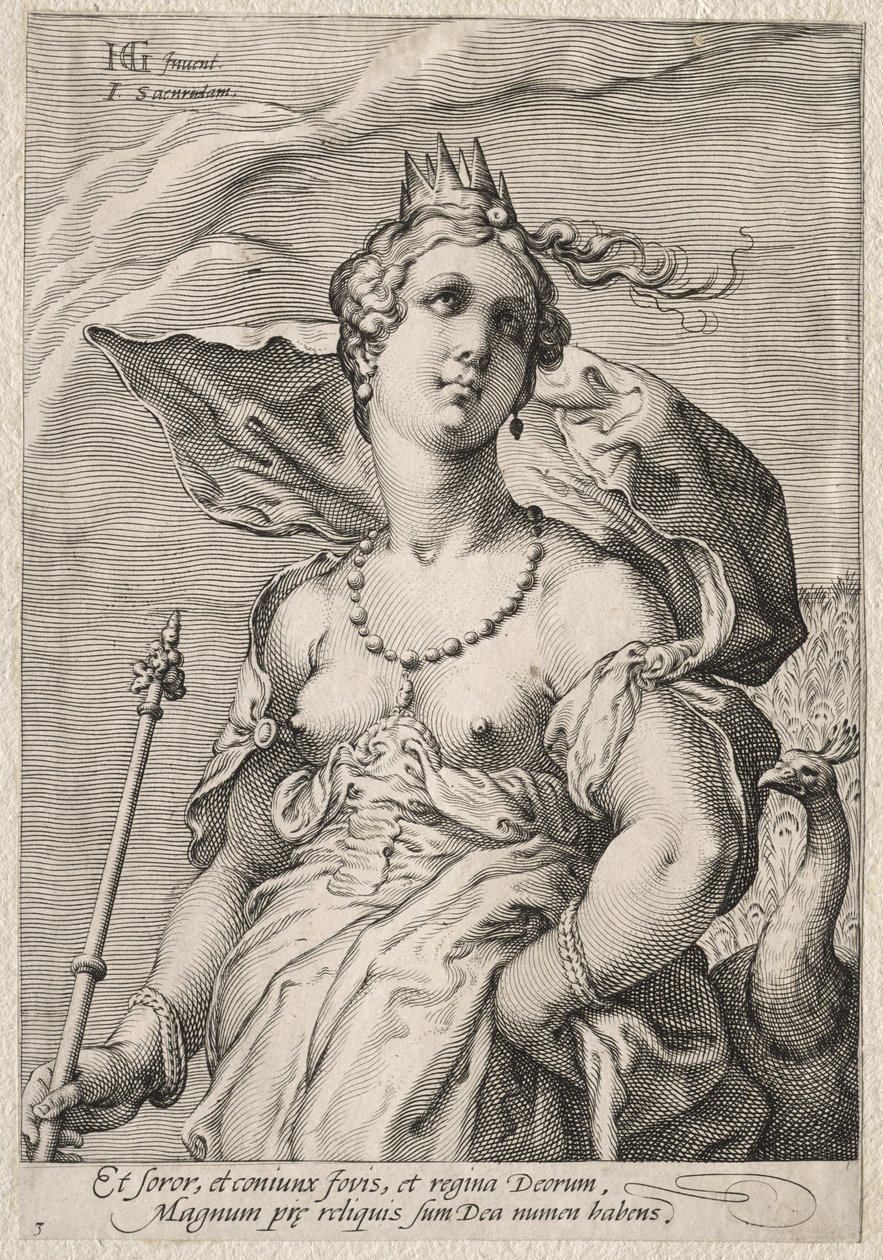 Junon - Jan Saenredam