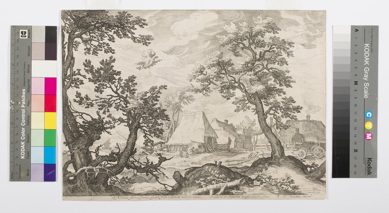 Paysage montrant l