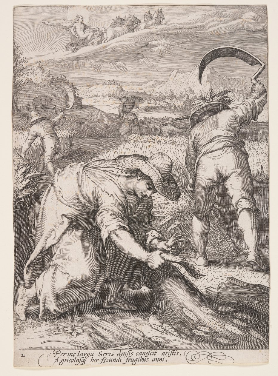 Été (Paysans récoltant le blé), extrait des Quatre Saisons - Jan Saenredam