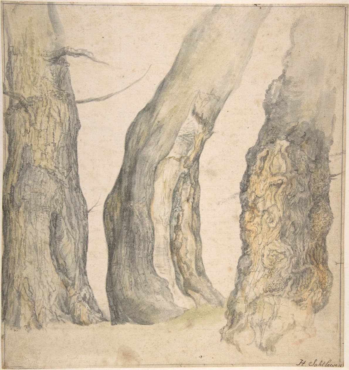 Étude de trois vieux arbres noueux - Jan Siberechts
