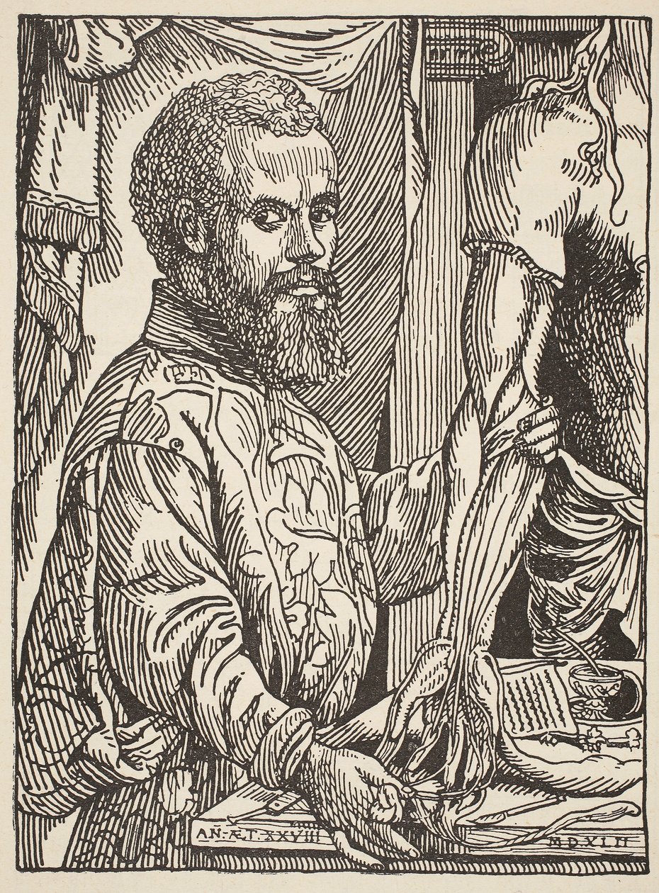 André Vésale, copie par Boris Mestchersky (d.1957), illustration de Histoire de la Nation Française, Sciences, Volumes I et II, par Gabriel Hanotaux (1853-1944), 1924 - Jan Stephen van Calcar
