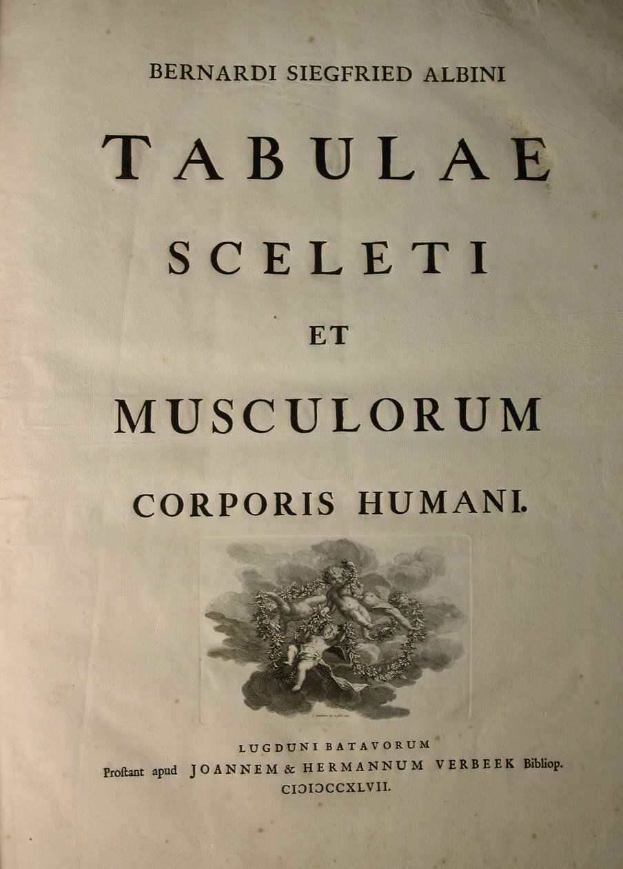 Albinus I, page de titre, de 