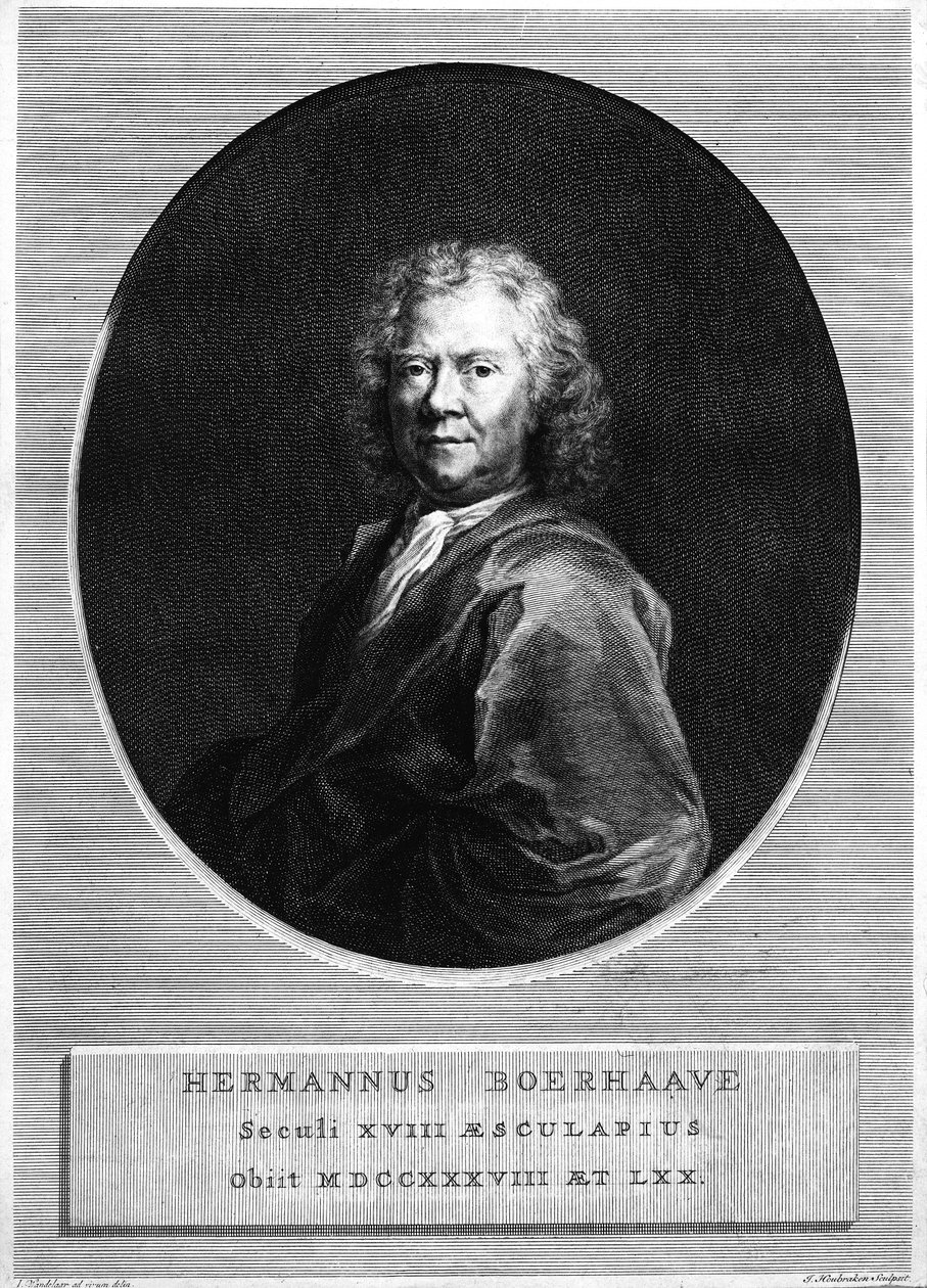 Herman Boerhaave, gravé par Jacobus Houbraken - Jan Wandelaar