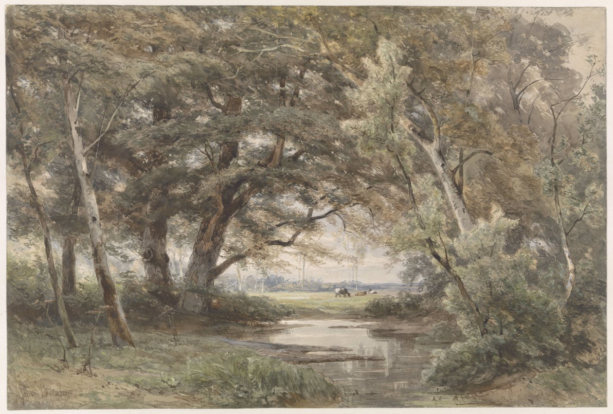 Petit Étang sous les Arbres à la Fin d