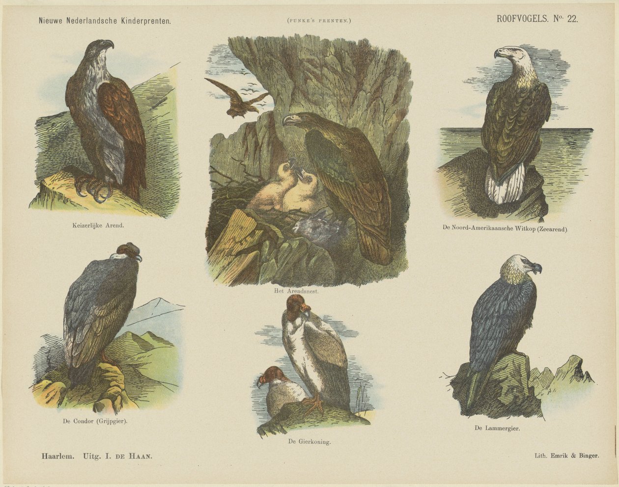 Oiseaux de proie (titre sur l