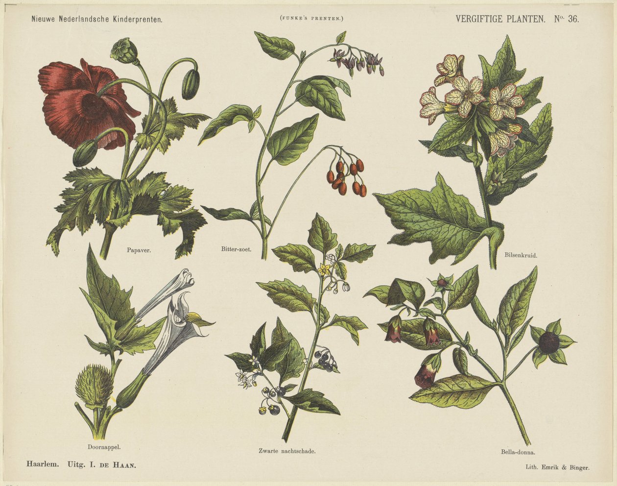 Plantes vénéneuses - Jan de Haan