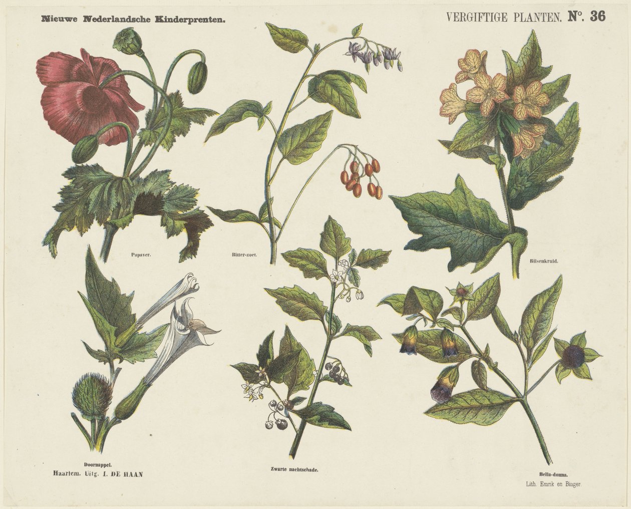 Plantes vénéneuses, Nouvelles gravures néerlandaises pour enfants (titre de la série sur l