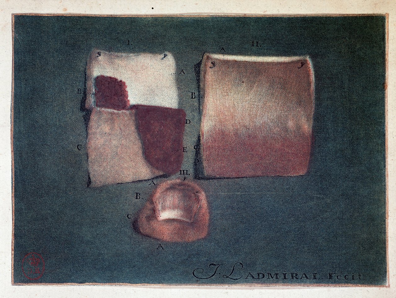 Différentes couleurs de peau, Ladmiral - Jan or Joannes Ladmiral
