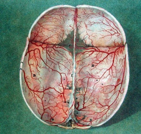 Le Cerveau, de 