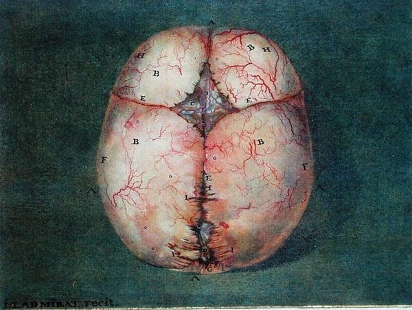Le cerveau, de 