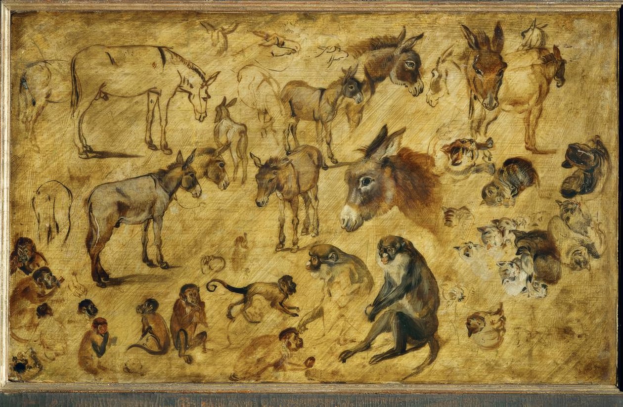Études d