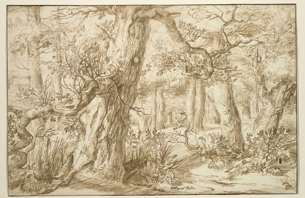 Intérieur de forêt avec dessinateur, vers 1664 - Jan the Elder Lievens