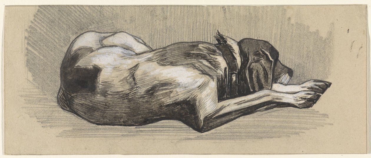 Chien endormi, vers la droite - Jan van Essen