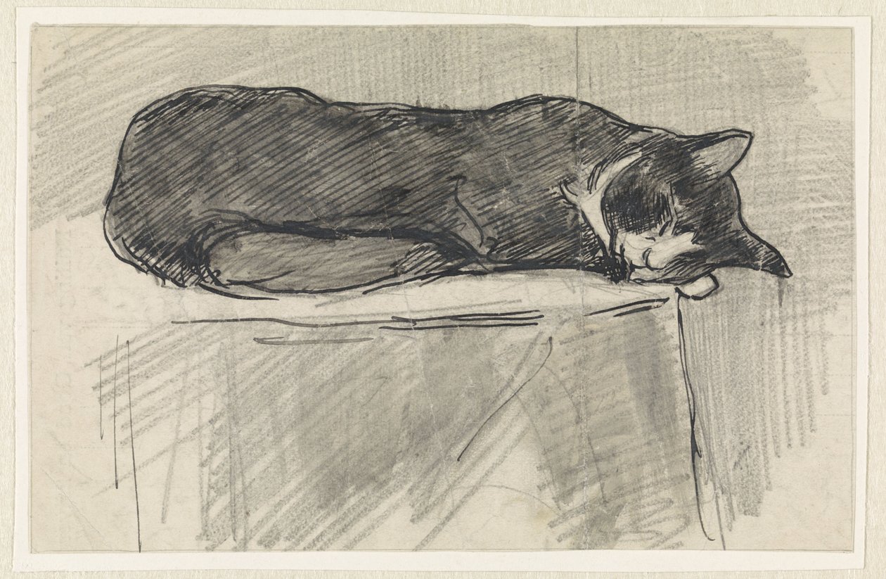 Chat endormi - Jan van Essen