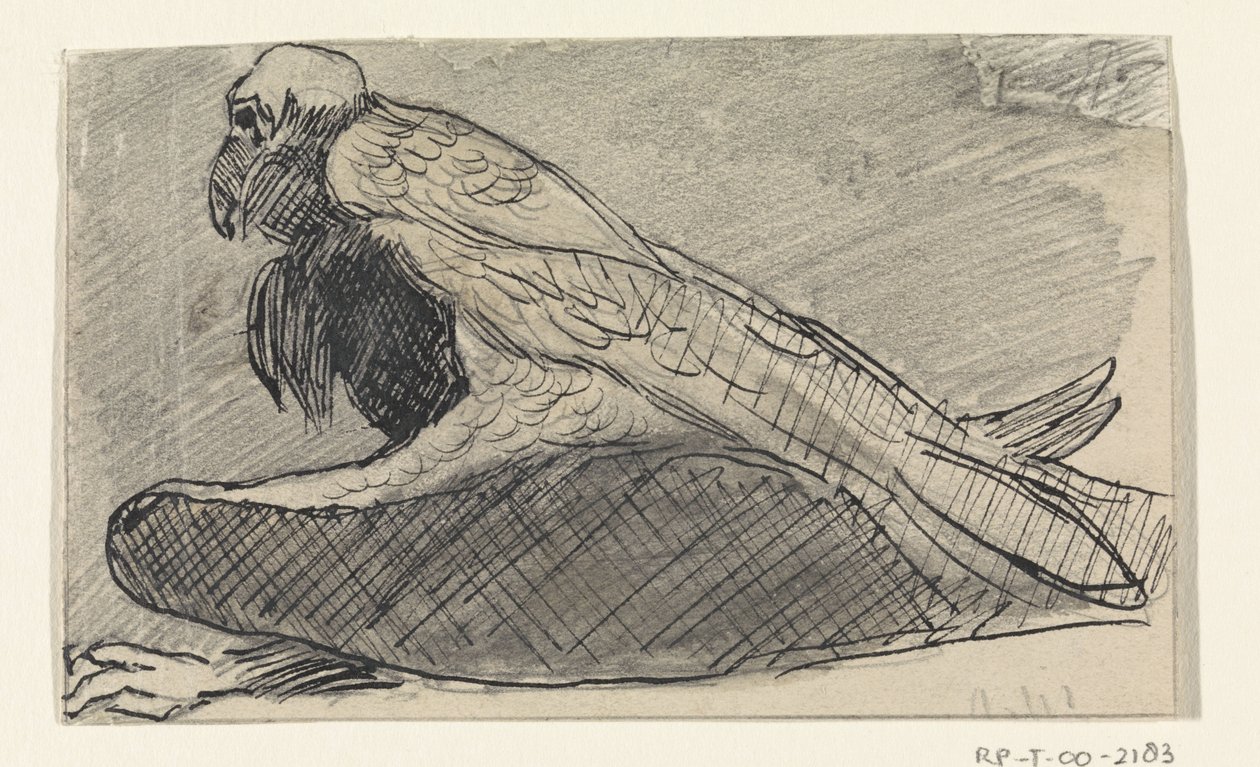 Vautour assis - Jan van Essen