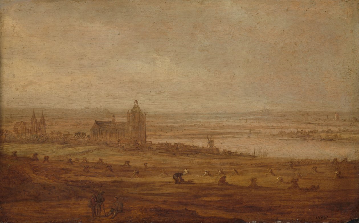 Vue d