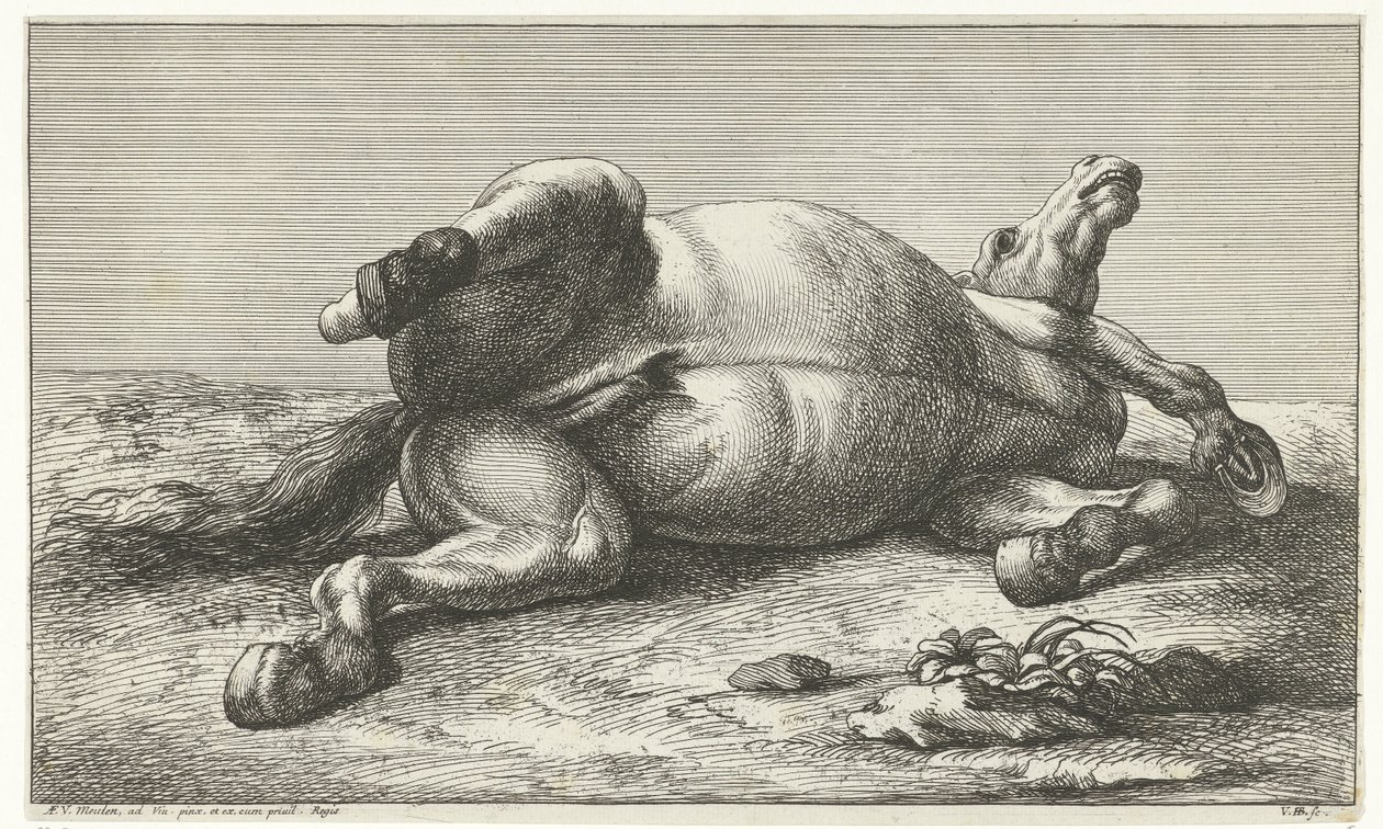 Cheval mort couché sur le côté gauche - Jan van Huchtenburg