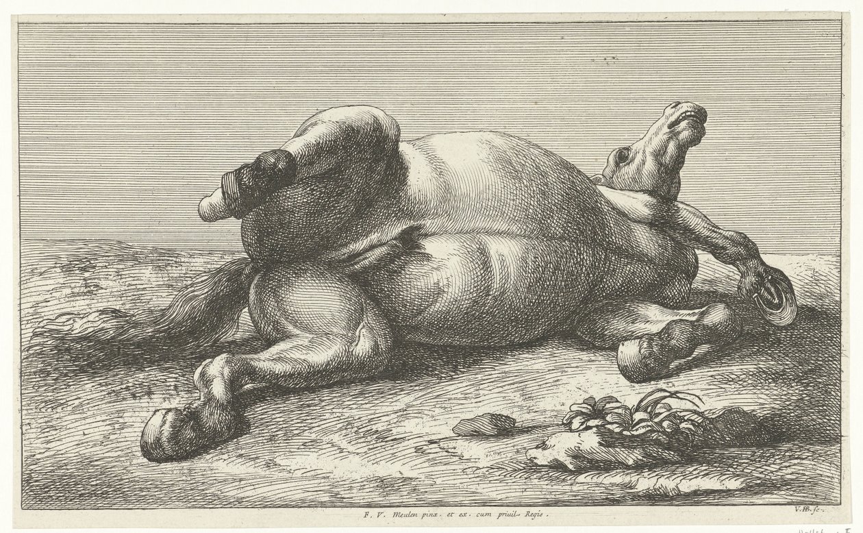 Cheval mort couché sur le côté gauche - Jan van Huchtenburg