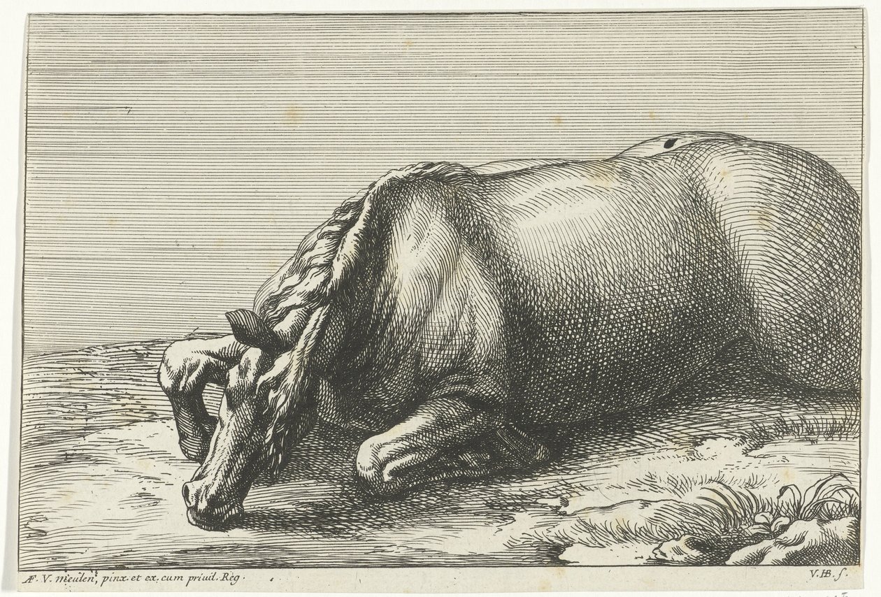 Cheval mort vu de côté gauche - Jan van Huchtenburg