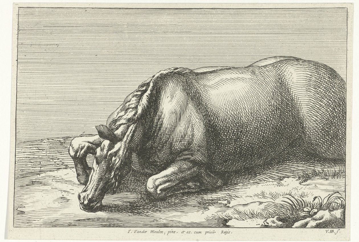 Cheval mort vu de côté (Chevaux morts) - Jan van Huchtenburg