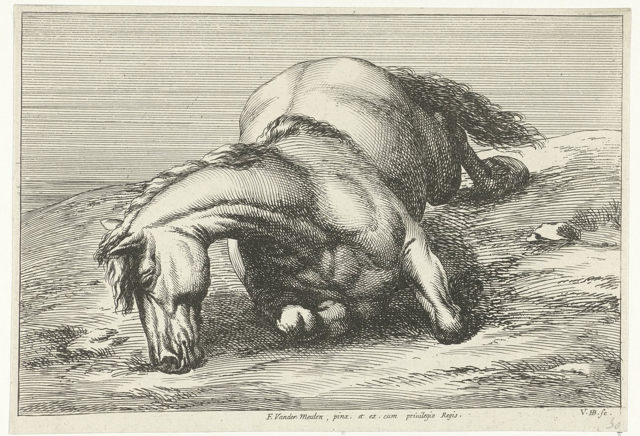 Cheval mort couché sur le côté droit - Jan van Huchtenburg