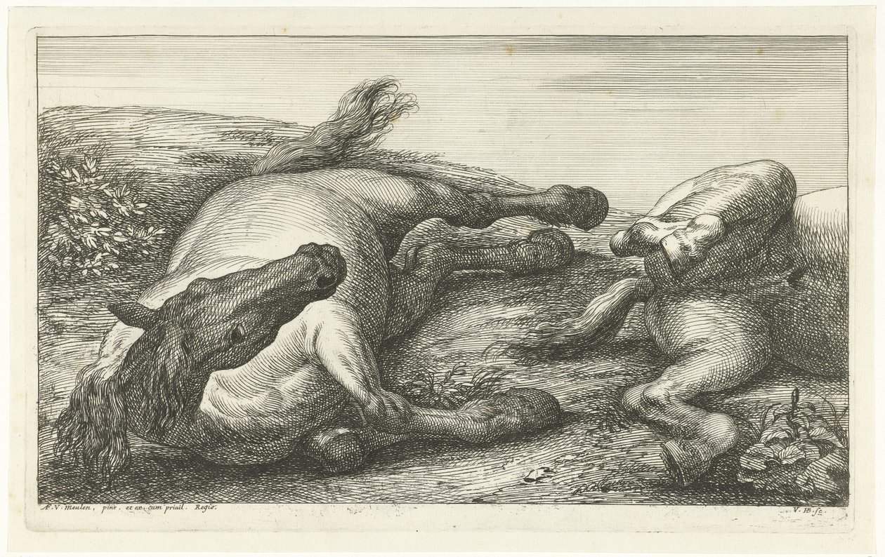 Deux chevaux morts dont le gauche vu de face (Chevaux morts) - Jan van Huchtenburg
