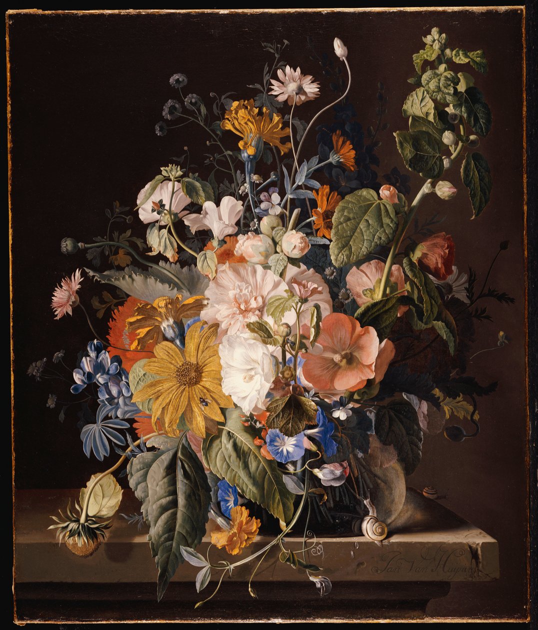 Coquelicots, roses trémières, gloire du matin, viola, marguerites, pois de senteur, soucis et autres fleurs dans un vase avec un escargot sur une corniche - Jan van Huysum