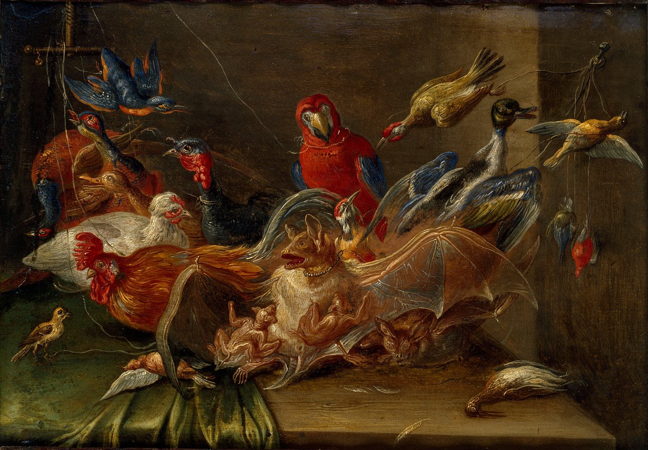 Composition de nature morte décorative avec oiseaux et deux chauves-souris - Jan van Kessel