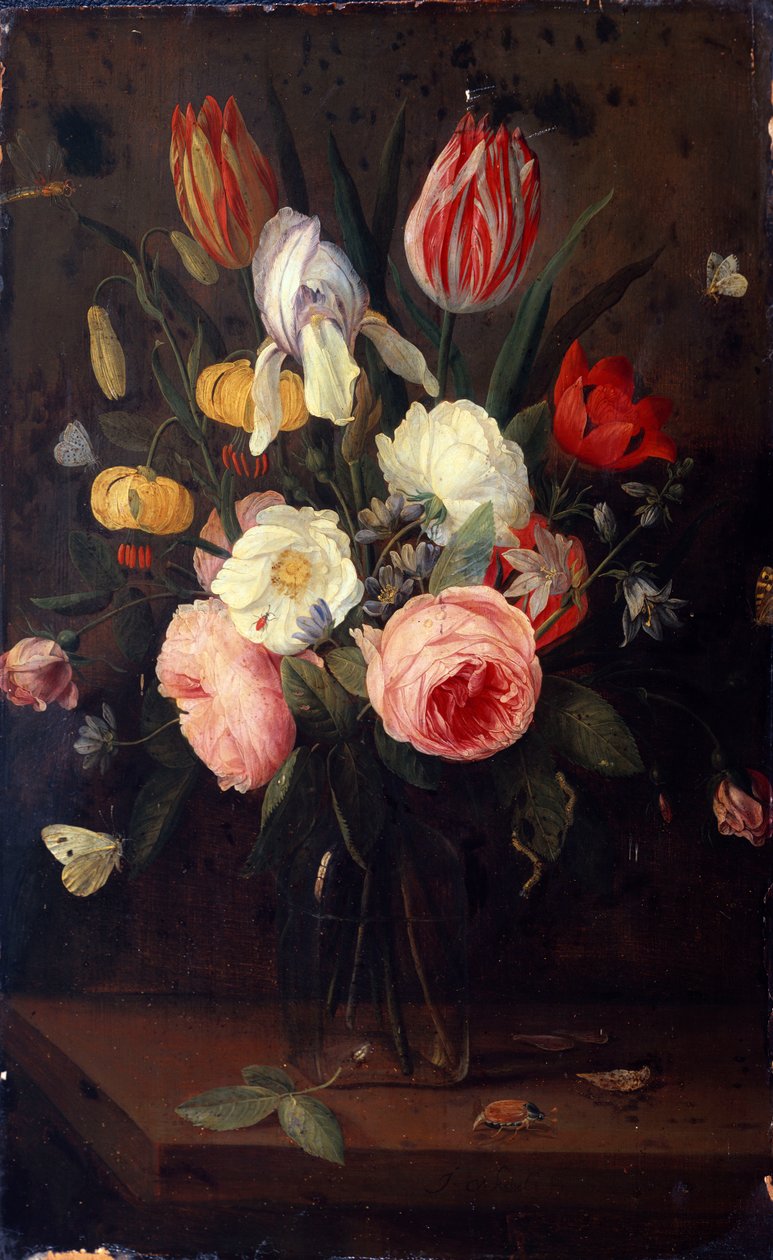 Roses, tulipes et autres fleurs dans un vase en verre, avec des insectes, sur une table - Jan van Kessel