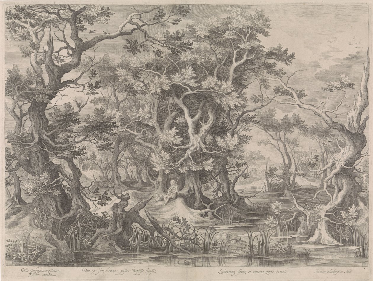 Jean-Baptiste priant dans un paysage marécageux - Jan van Londerseel