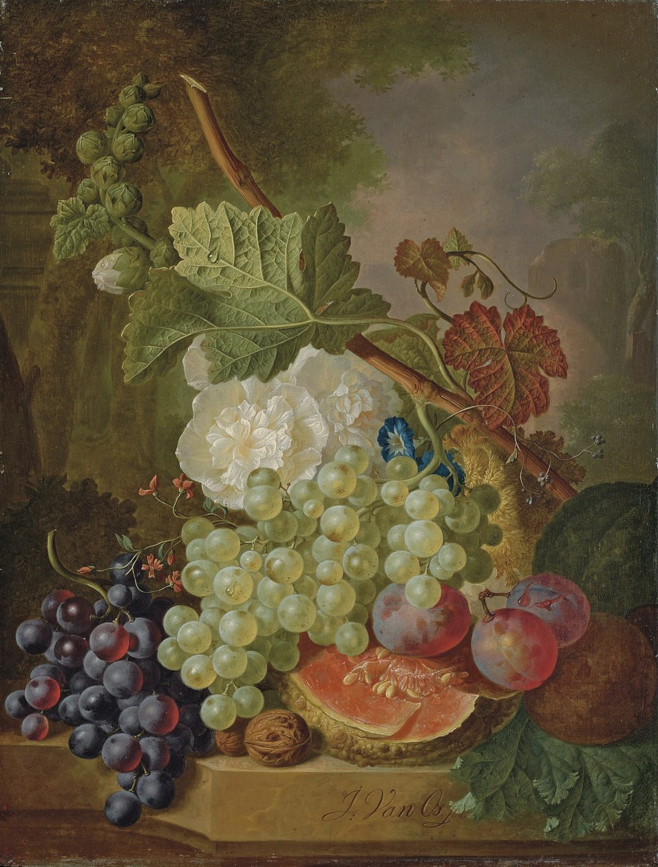 Fleurs, raisins, prunes, noix et melon sur une corniche en pierre - Jan van Os