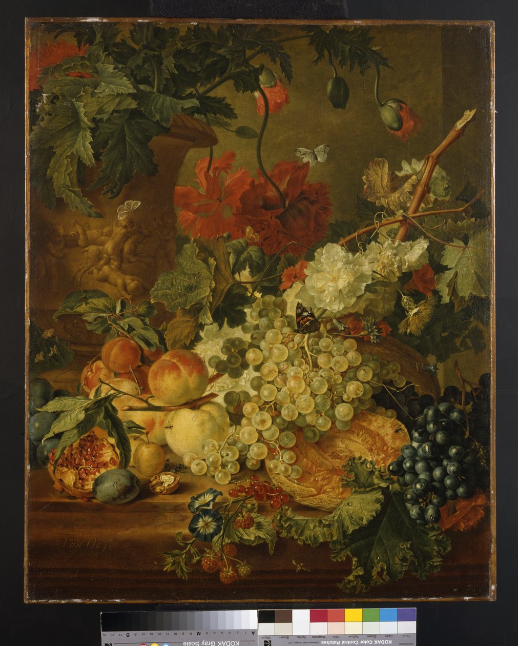 Fruits et fleurs, d