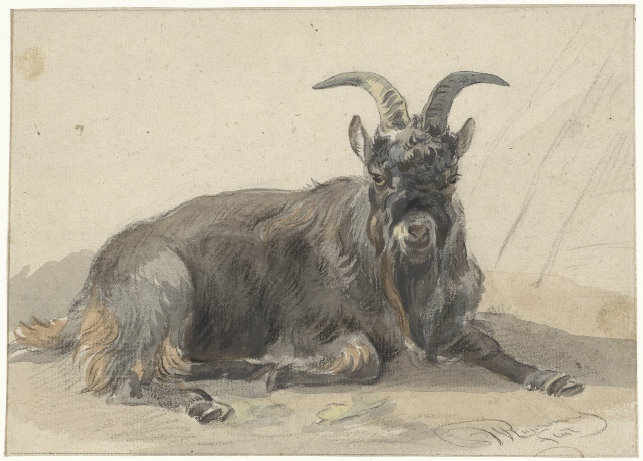 Bouquetin noir couché - Jan van Ravenswaay