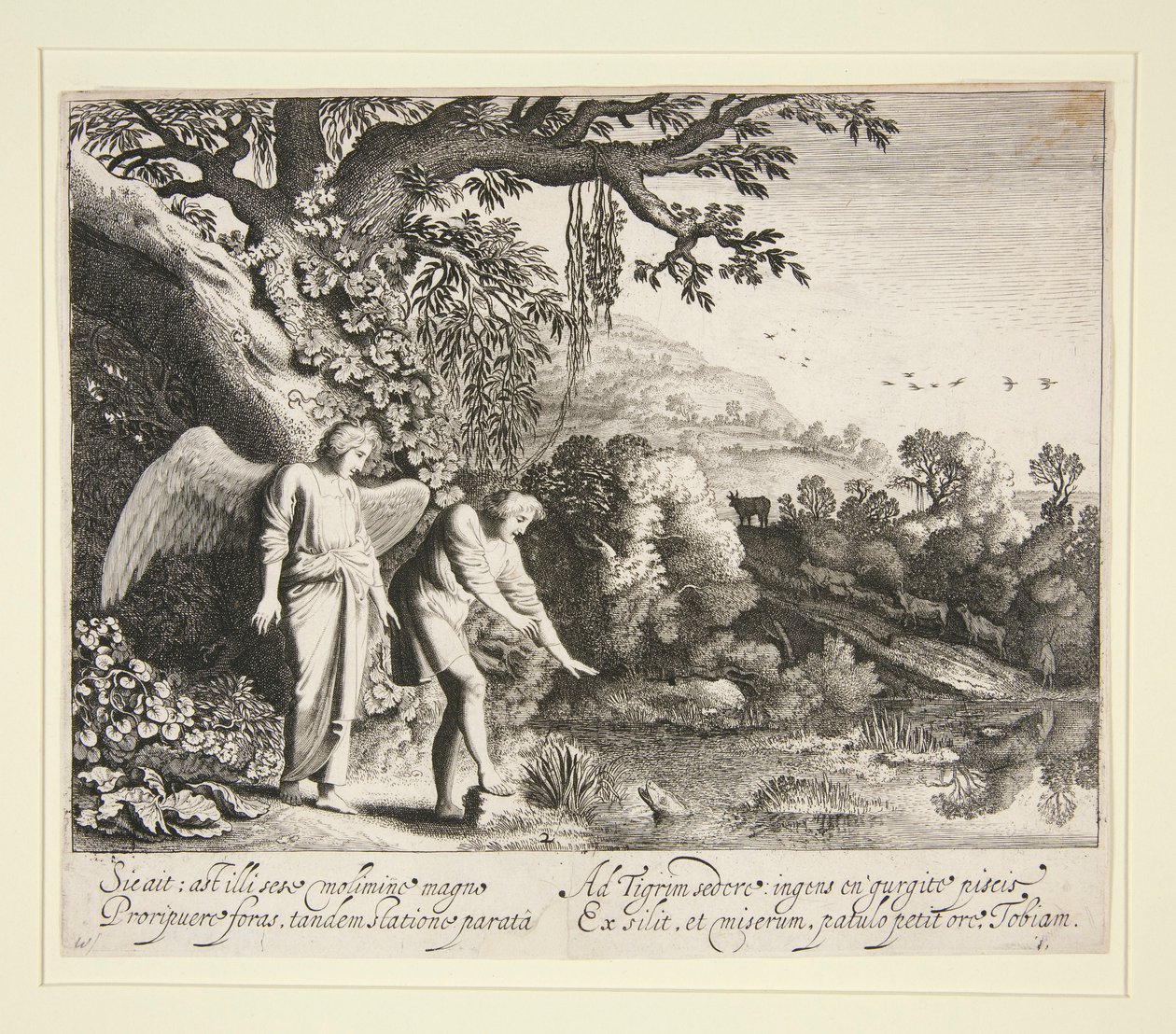 Tobias voit le poisson, de l