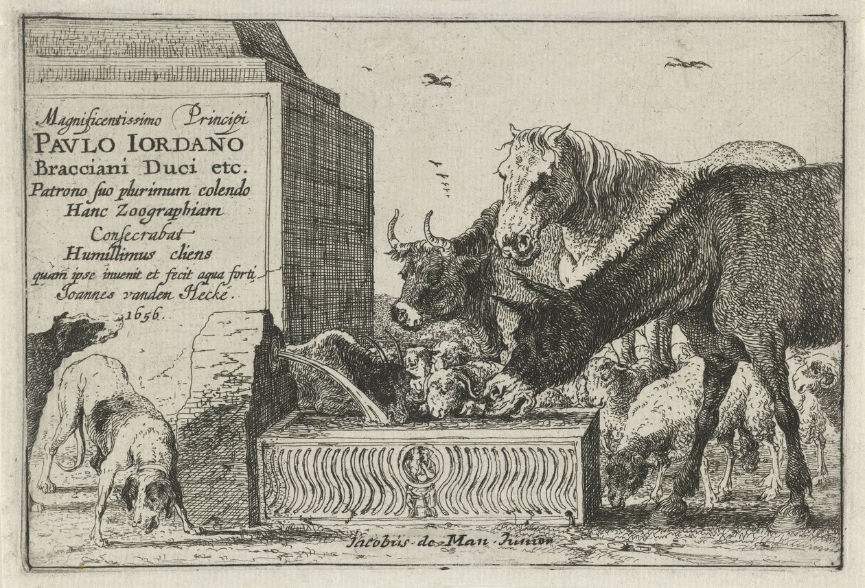 Animaux près d