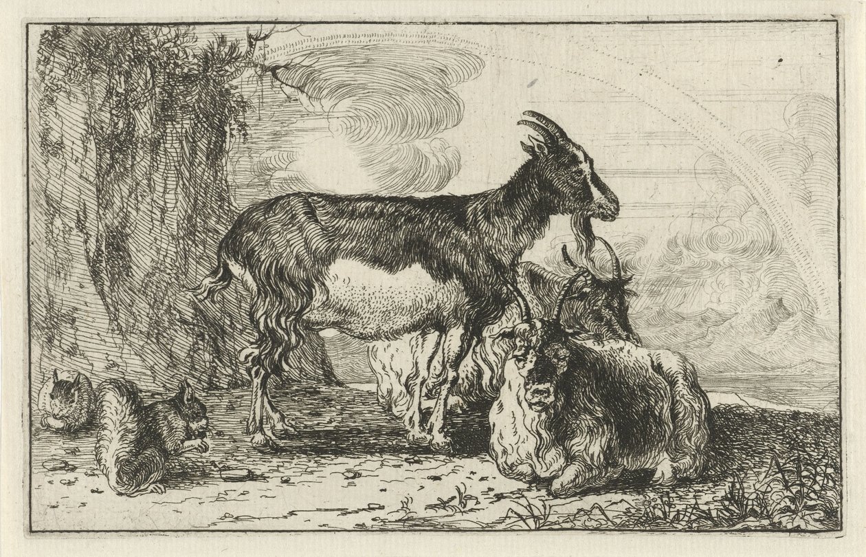 Chèvres - Jan van den Hecke