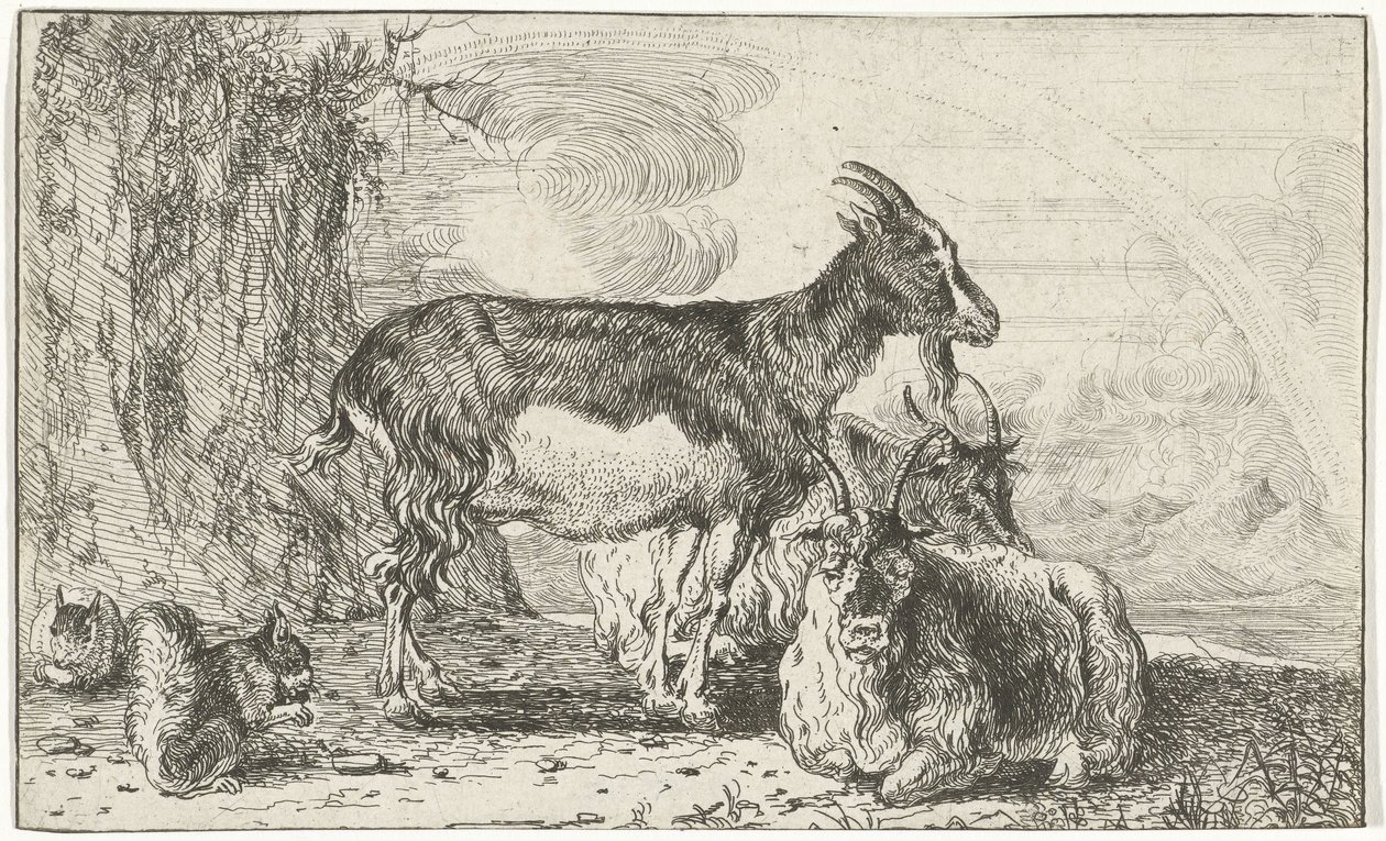 Chèvres - Jan van den Hecke