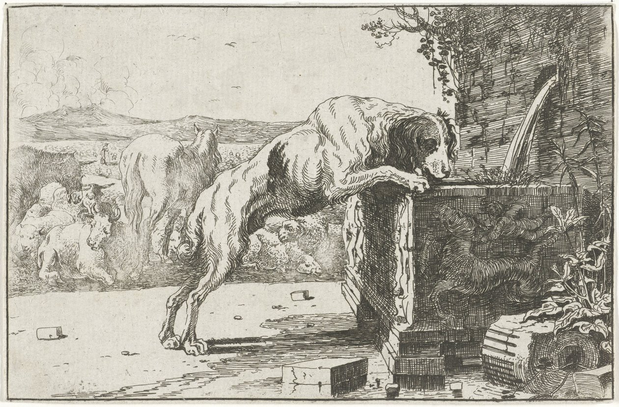 Chien près d
