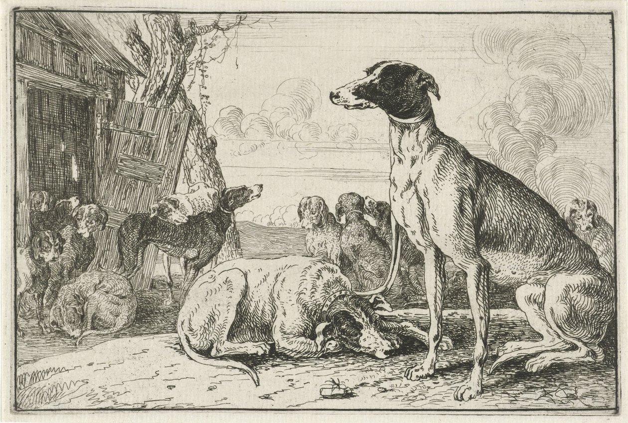 Chenil - Jan van den Hecke