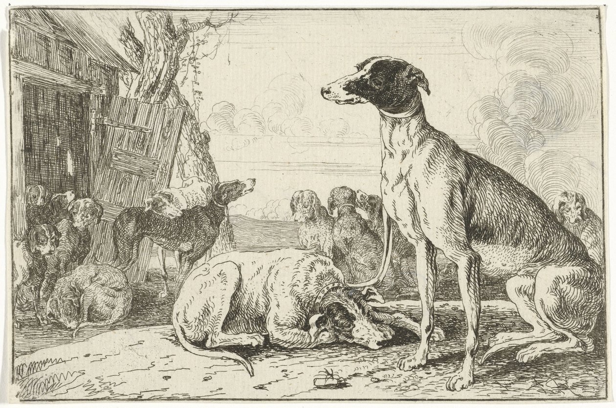 Chenil - Jan van den Hecke