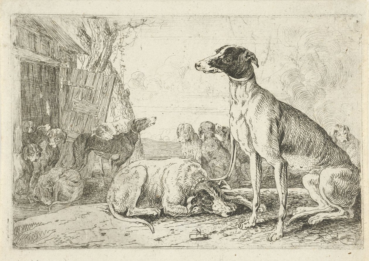 Chenil - Jan van den Hecke