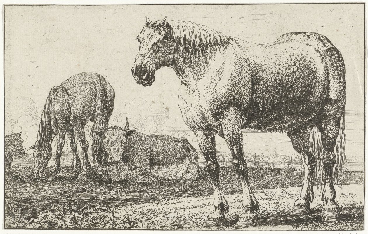 Chevaux et vaches
Dieren (titre de la série)
Zoographiam (titre de la série) - Jan van den Hecke