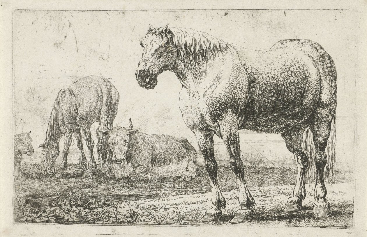 Chevaux et vaches - Jan van den Hecke