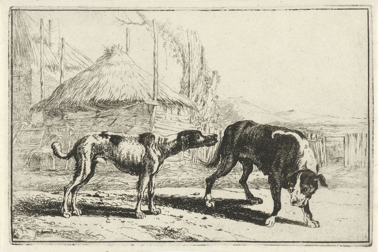 Reu en teef - Jan van den Hecke