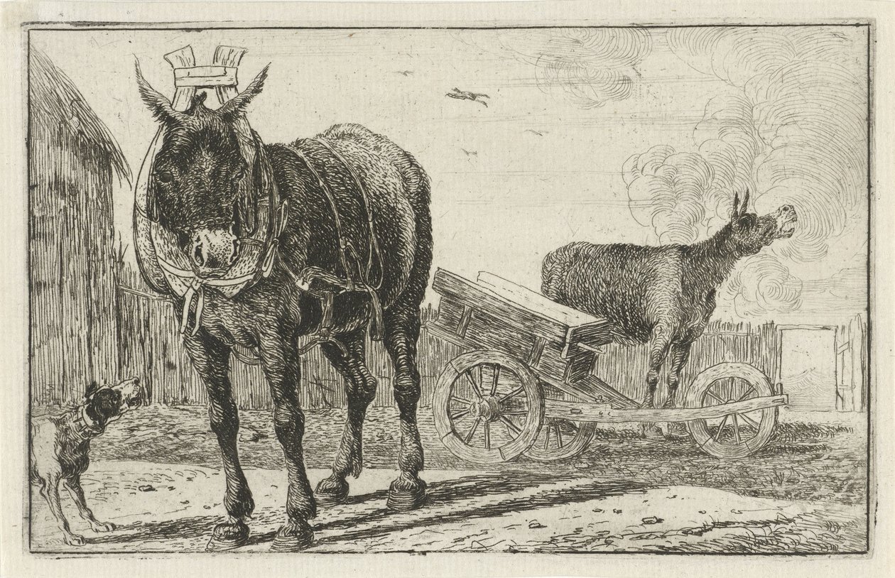 Deux ânes - Jan van den Hecke