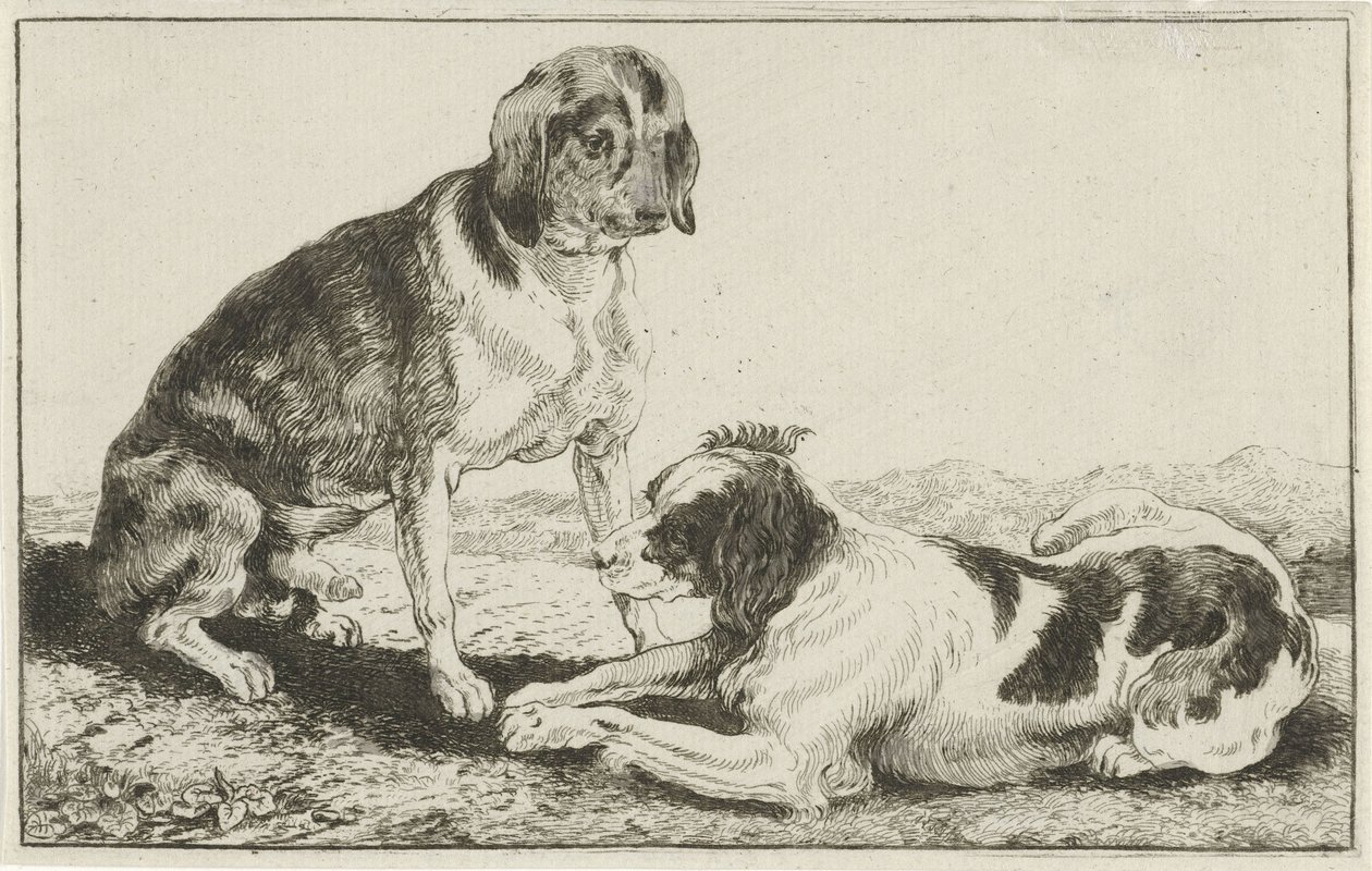 Deux chiens au repos - Jan van den Hecke